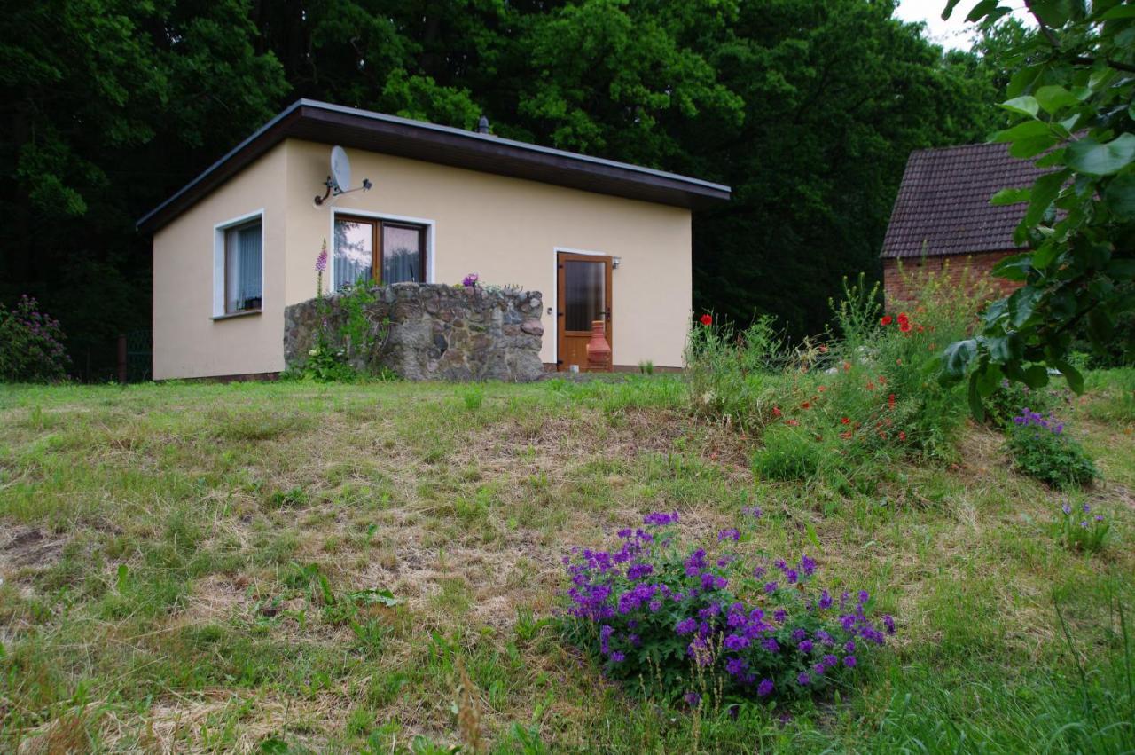 Bungalow Am Forsthaus Stagniess Uckeritz Esterno foto